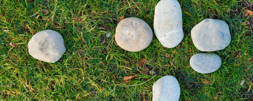 Rocks in the grass in Texas.