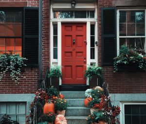 A doorstep decorated with pumpkins and plants.